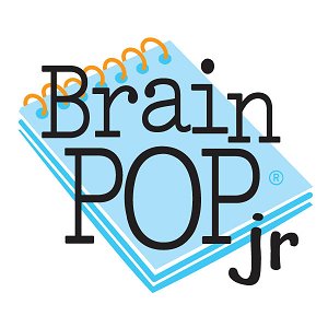brain